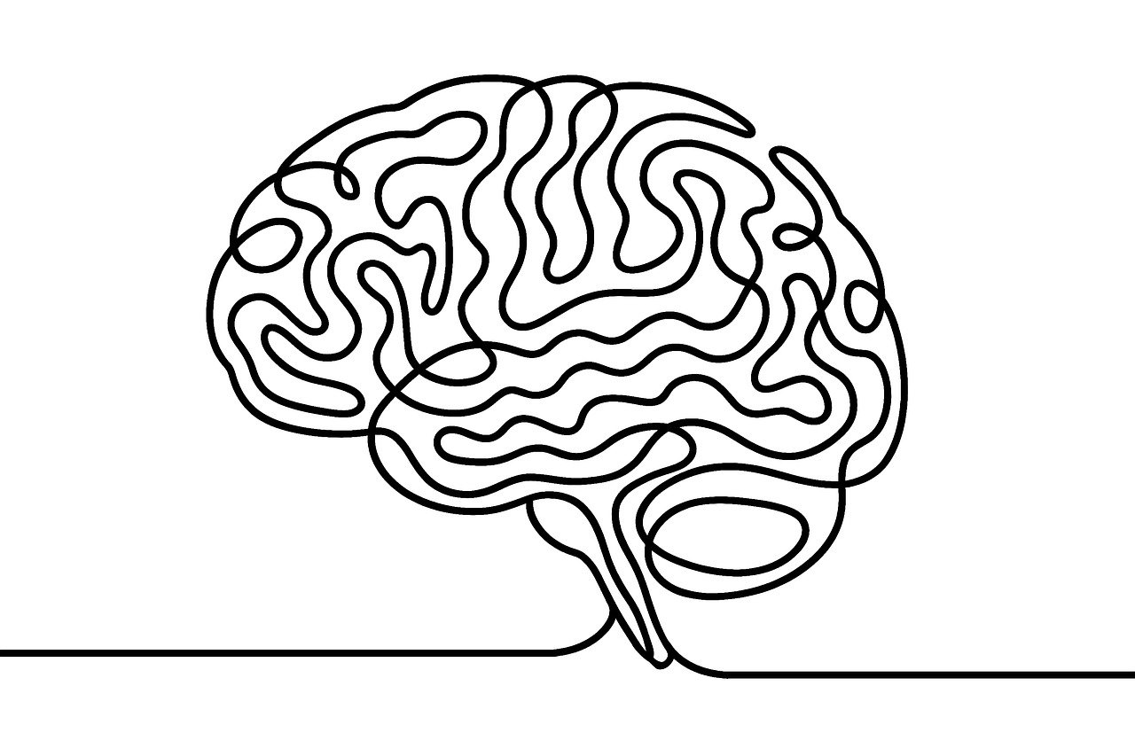 What is Continuous Data? Definition, Characteristics and Examples